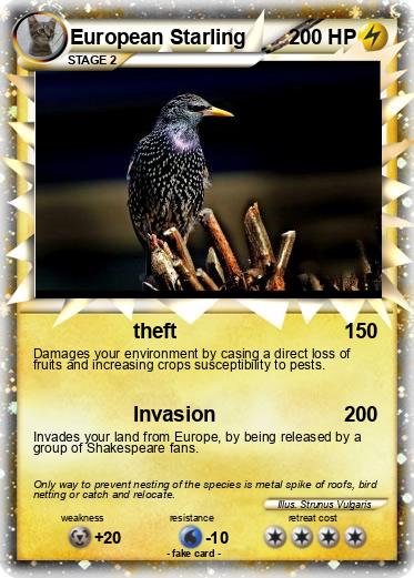 Pokemon European Starling