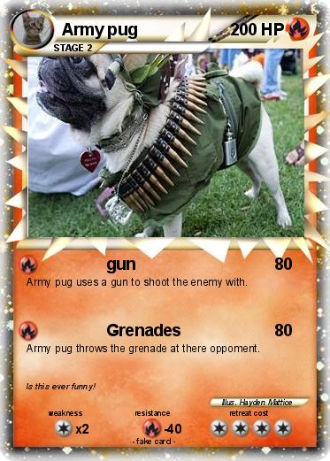 Pokemon Army pug