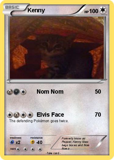 Pokemon Kenny