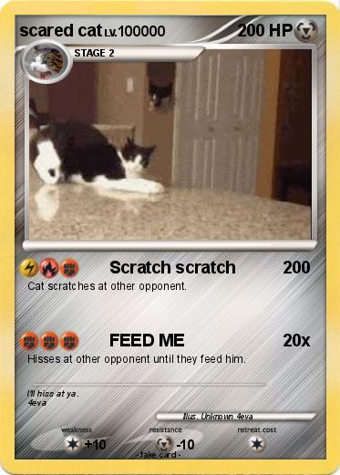 Pokemon scared cat
