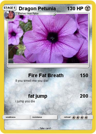 Pokemon Dragon Petunia