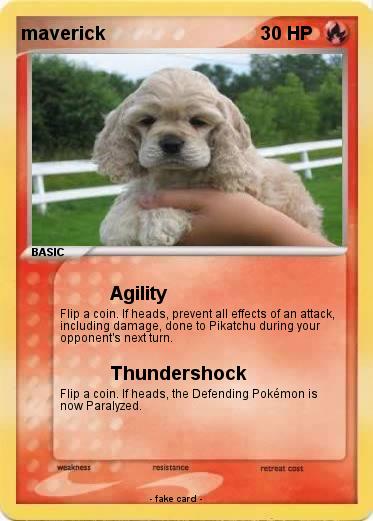 Pokemon maverick