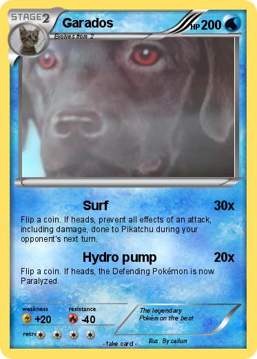 Pokemon Garados