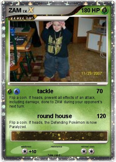 Pokemon ZAM