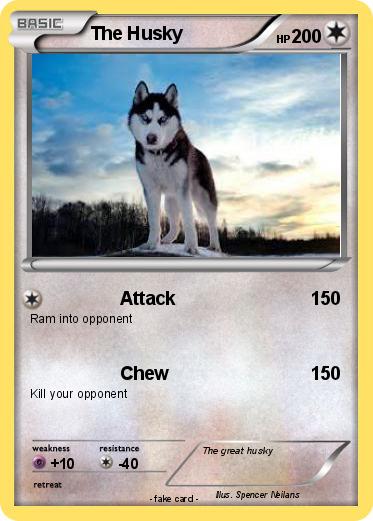 Pokemon The Husky