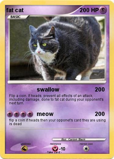 Pokemon fat cat