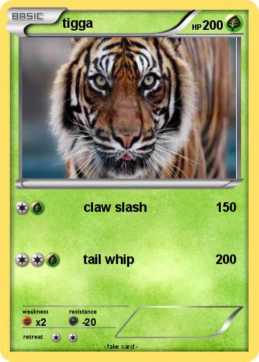 Pokemon tigga