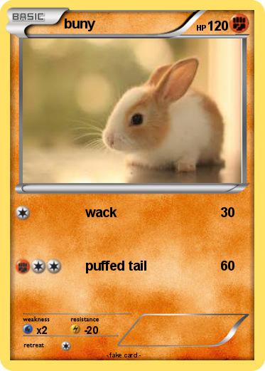 Pokemon buny