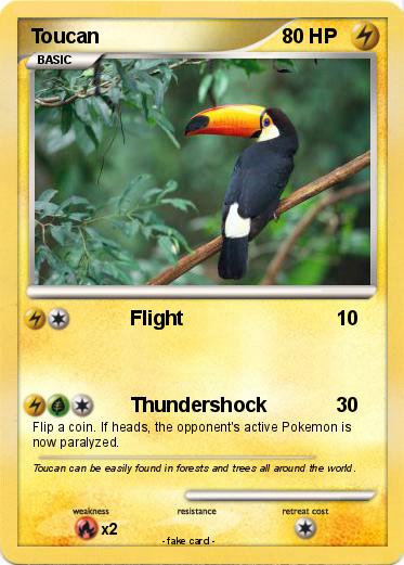 Pokemon Toucan