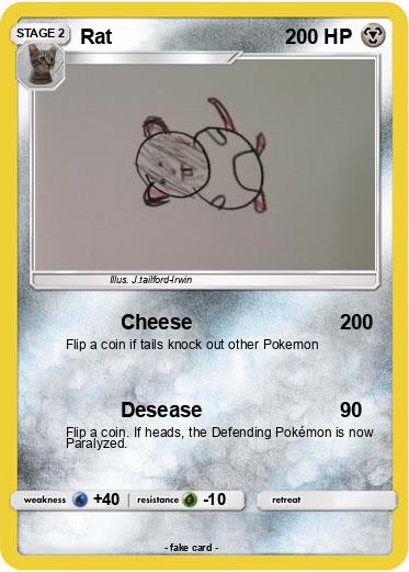Pokemon Rat