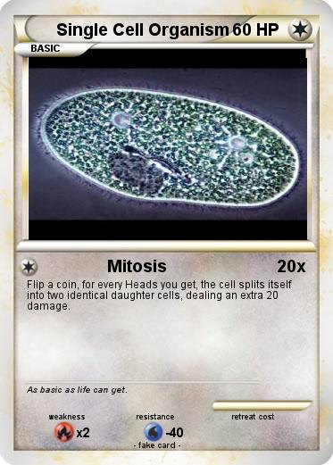 Pokemon Single Cell Organism