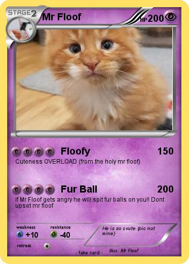 Pokemon Mr Floof