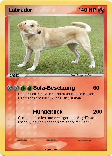 Pokemon Labrador