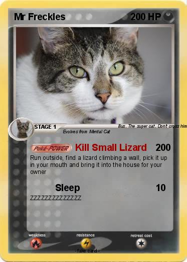 Pokemon Mr Freckles
