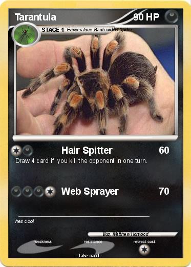 Pokemon Tarantula