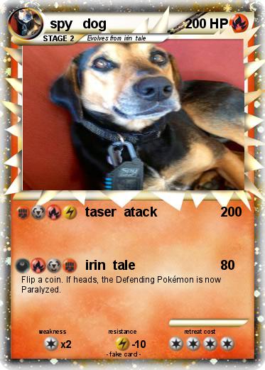 Pokemon spy   dog