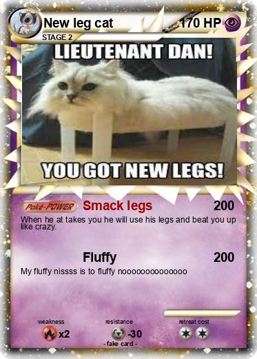 Pokemon New leg cat