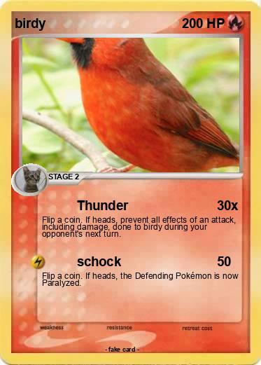 Pokemon birdy