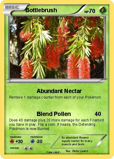 Pokemon Bottlebrush