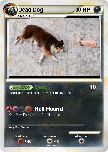 Pokemon Dead Dog