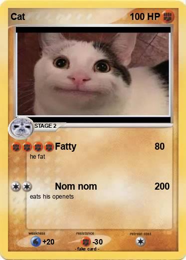 Pokemon Cat