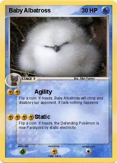 Pokemon Baby Albatross