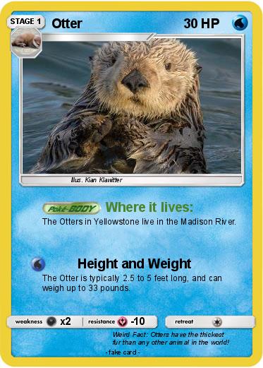 Pokemon Otter