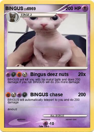 Pokemon BINGUS