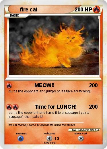 Pokemon fire cat