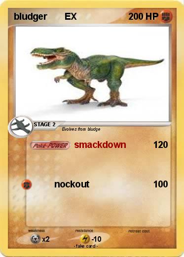 Pokemon bludger       EX