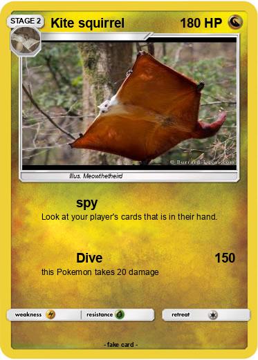 Pokemon Kite squirrel
