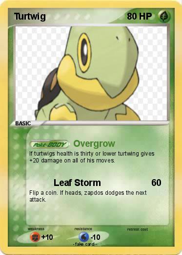 Pokemon Turtwig
