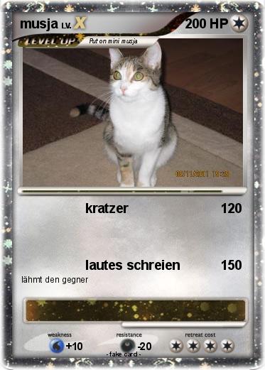 Pokemon musja