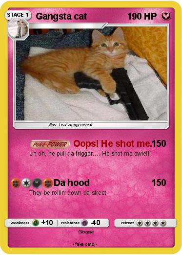 Pokemon Gangsta cat