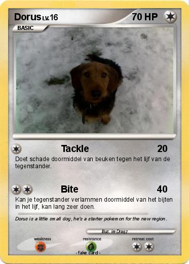 Pokemon Dorus