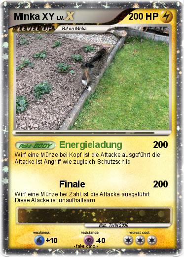 Pokemon Minka XY