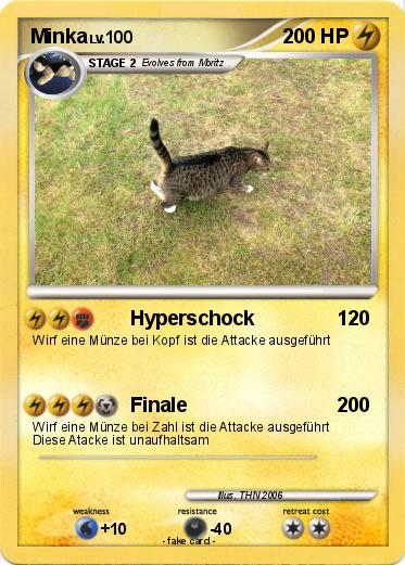 Pokemon Minka