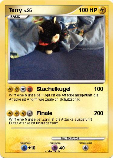 Pokemon Terry