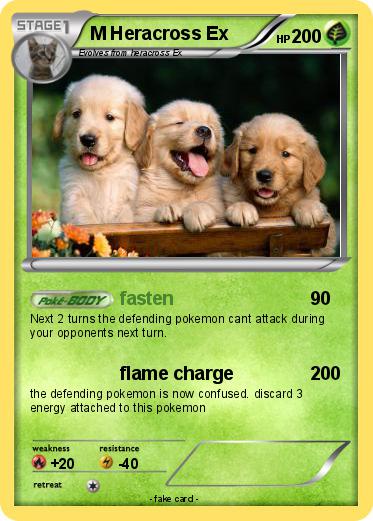 Pokemon M Heracross Ex