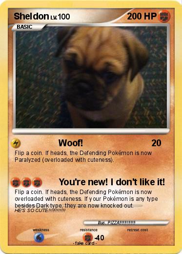 Pokemon Sheldon