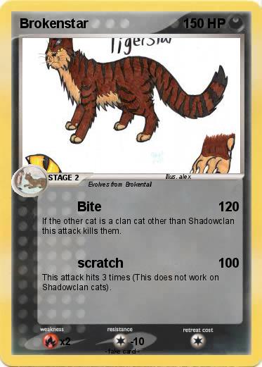Pokemon Brokenstar