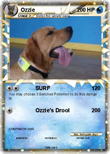 Pokemon Ozzie