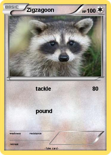 Pokemon Zigzagoon