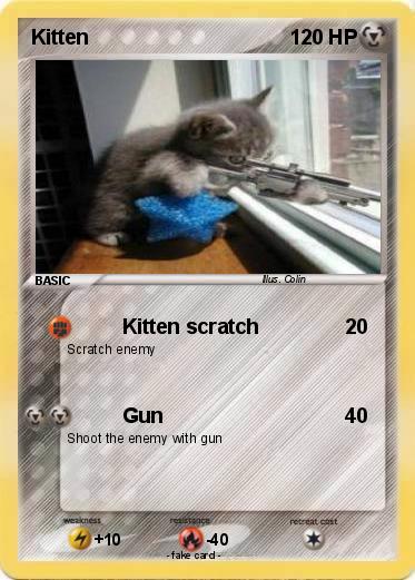 Pokemon Kitten