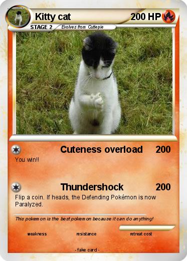 Pokemon Kitty cat