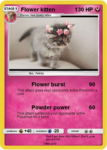 Pokemon Flower kitten