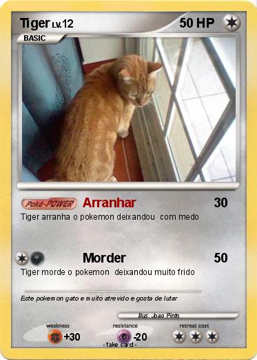 Pokemon Tiger