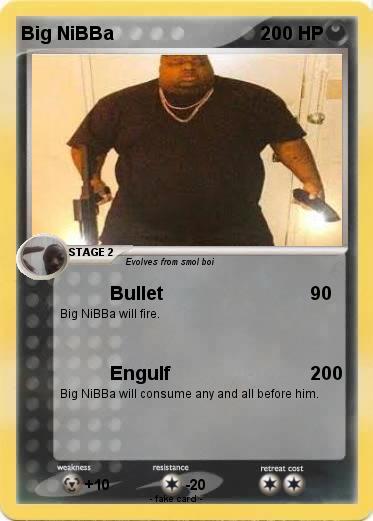 Pokemon Big NiBBa
