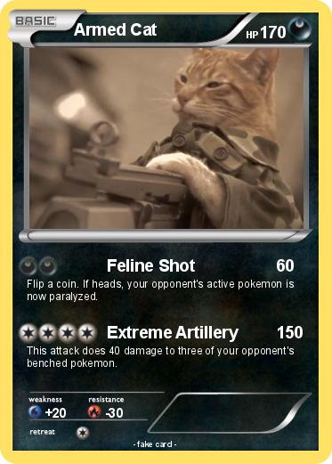 Pokemon Armed Cat