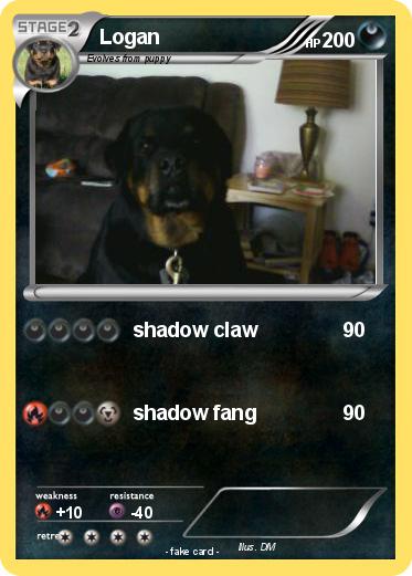 Pokemon Logan